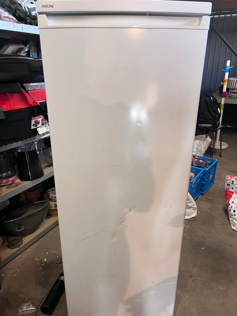 Proline Ruime koelkast, Gebruikt, Minder dan 60 cm, 160 cm of meer, Vrijstaand
