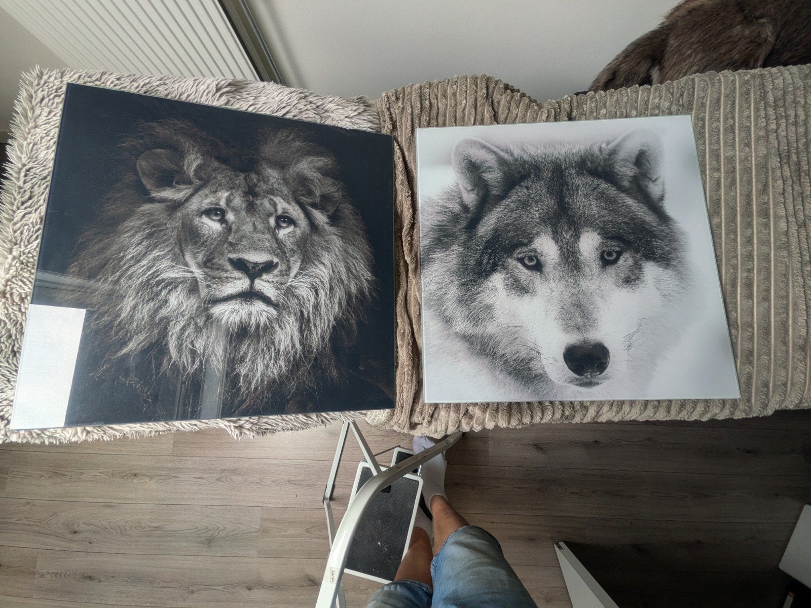 Leeuw en Wolf Schilderij, Huis en Inrichting, Ophalen, Zo goed als nieuw, Schilderij