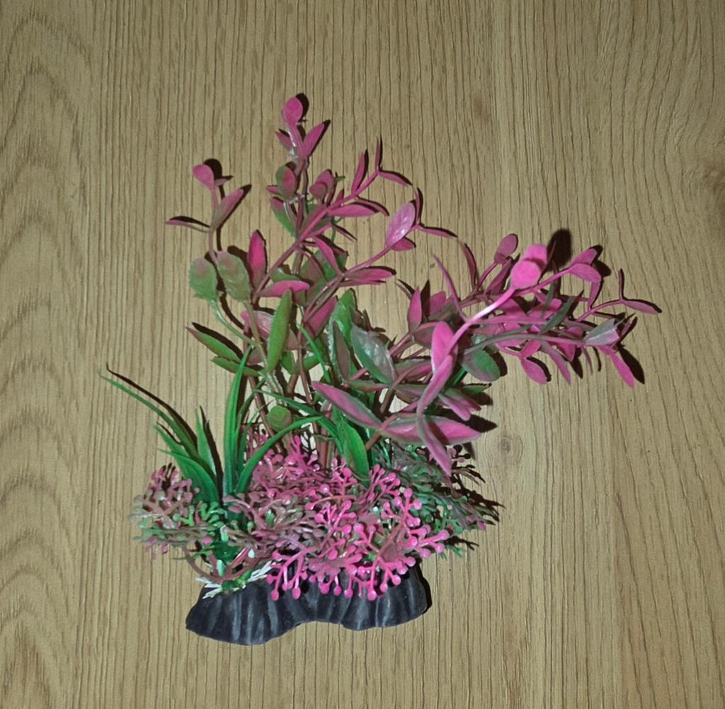 Roze aquarium plantje (nep), Dieren en Toebehoren, Vissen | Aquaria en Toebehoren, Ophalen, Plant(en), Steen of Hout