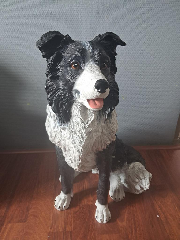 Mooi nieuw kwaliteits beeld van de border collie te koop, Ophalen, Nieuw, Dier