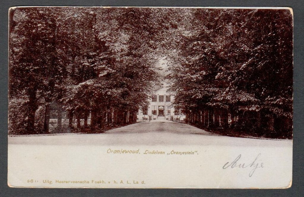 Oude Ansicht - Oranjewoud - Lindelaan Oranjestein 1905 - Frl, Ophalen of Verzenden, Voor 1920, Gelopen, Friesland