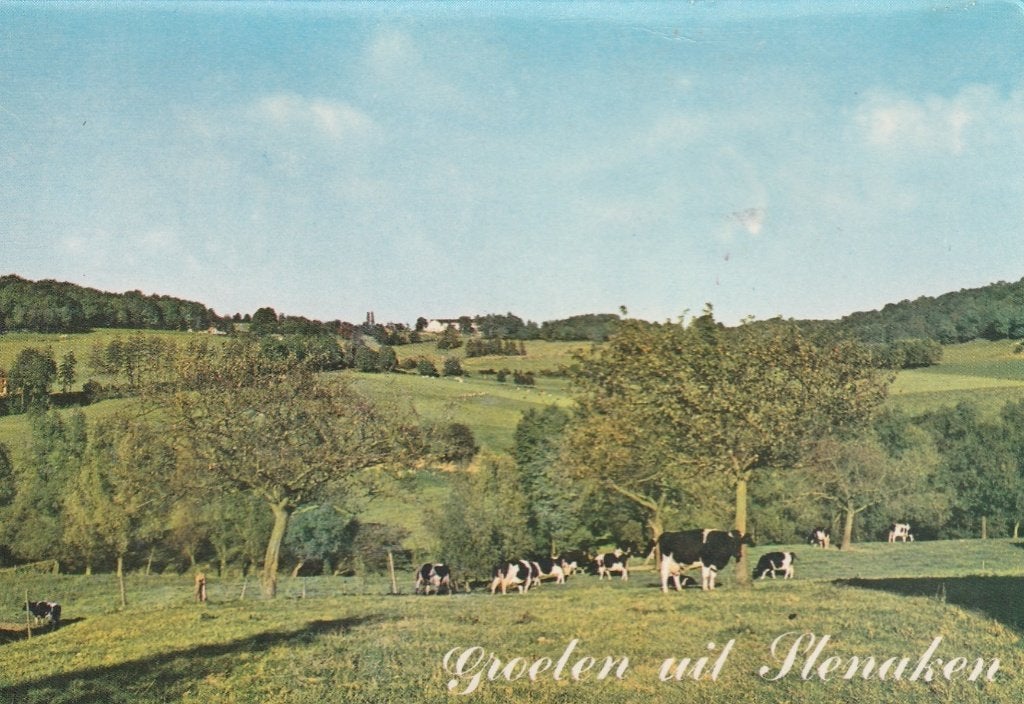 SLENAKEN Vergezicht vanaf de Grensweg Groeten, Verzenden, 1960 tot 1980, Ongelopen, Limburg