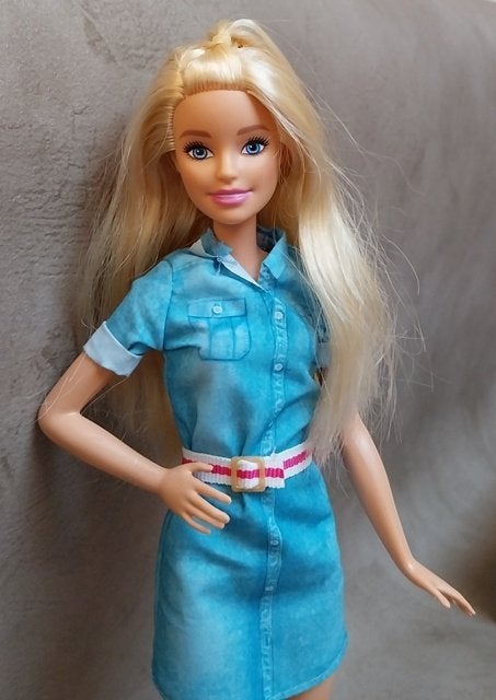 Barbie Dreamhouse Adventure pop, Ophalen of Verzenden, Gebruikt, Barbie
