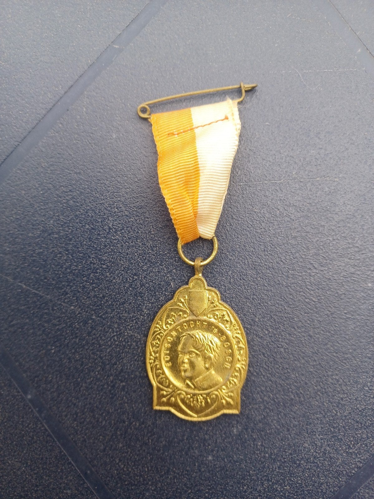 Medaille Edisontocht 's Hertogenbosch, Ophalen of Verzenden, Overige materialen, Nederland