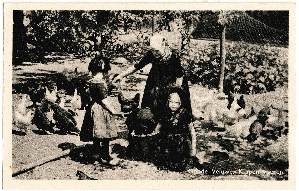 Op de Veluwe, kippen voeren, klederdracht, gelopen 1943,, Verzenden, 1940 tot 1960, Gelopen, Gelderland