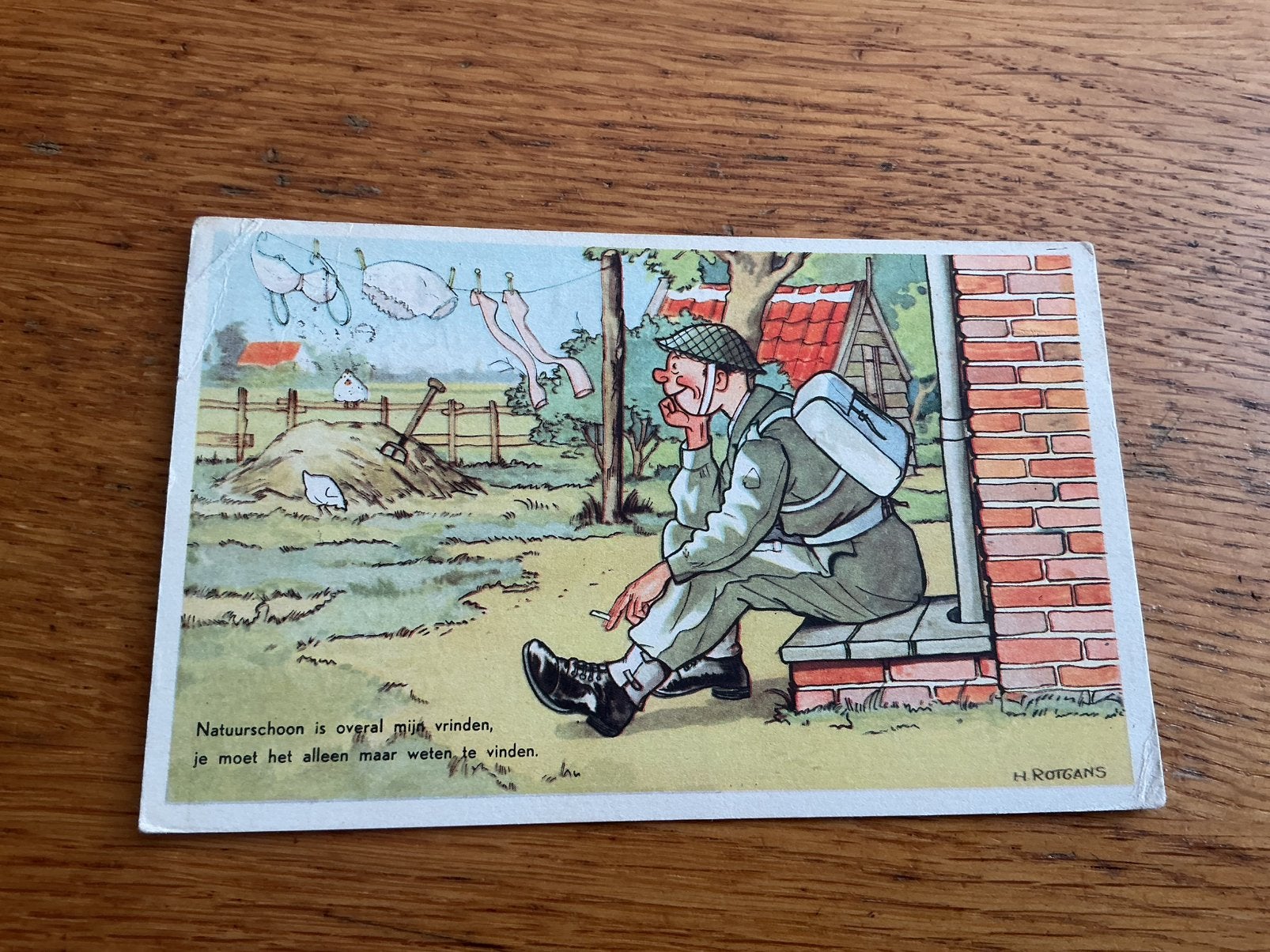M44 militair humor Illustrator Rotgans, Ophalen of Verzenden, Overige thema's