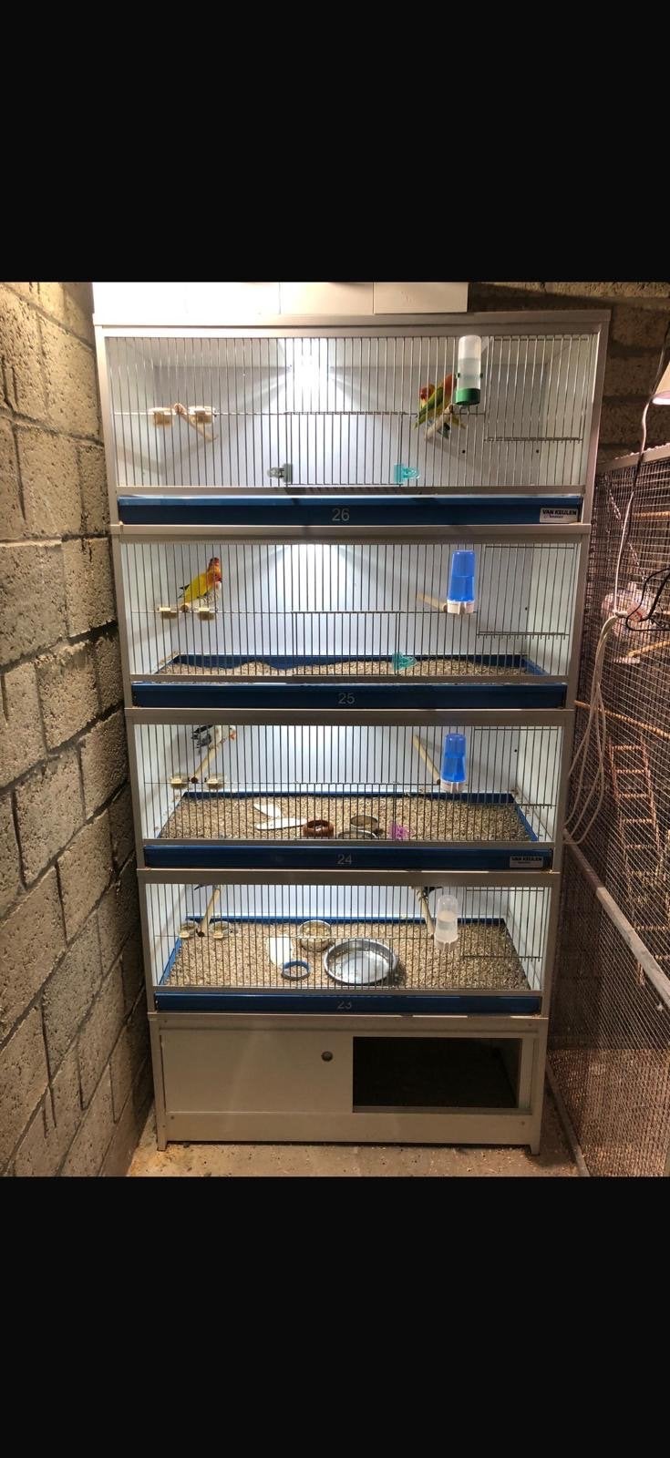 Vogelkooi set met bijbehoren., Dieren en Toebehoren, Ophalen