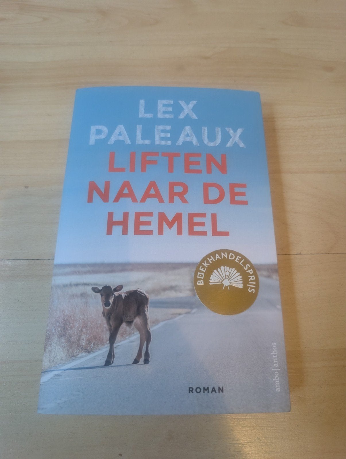 Liften naar de hemel - Lex Paleaux, Ophalen of Verzenden, Zo goed als nieuw