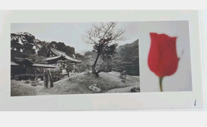 Jean Ruiter The Kyoto Zen Garden Project 9 originele foto's, Ophalen of Verzenden