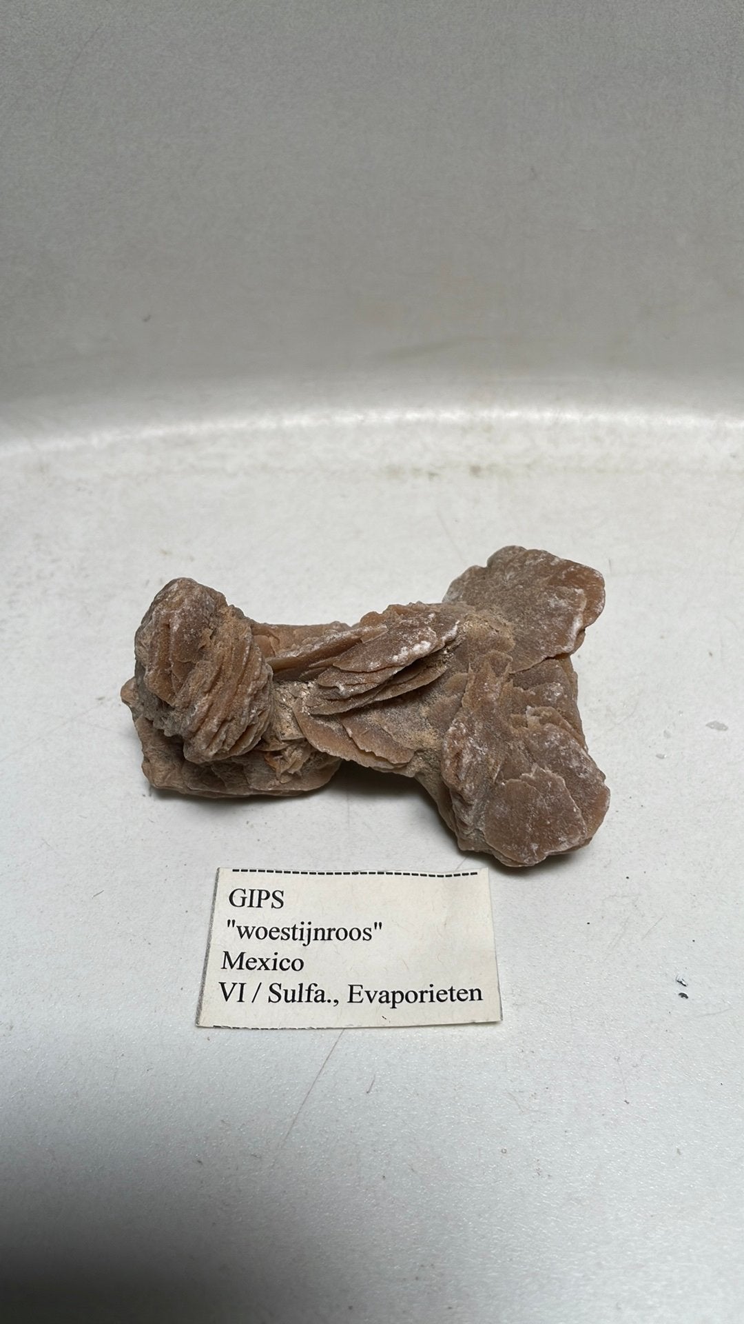 Gips woestijnroos mineraal uit Mexico - 8 cm breed, Verzamelen, Mineralen en Fossielen, Mineraal, Ophalen of Verzenden