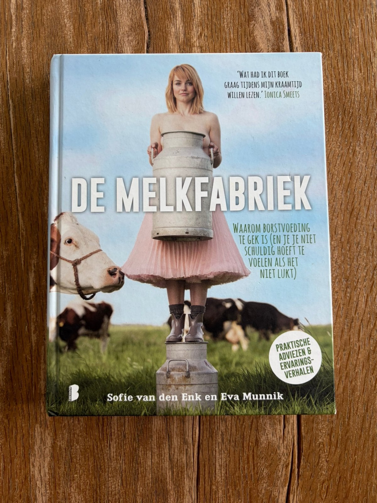De Melkfabriek (& evt De Schoolfabriek) boeken, Boeken, Ophalen of Verzenden, Zo goed als nieuw, Opvoeding tot 6 jaar
