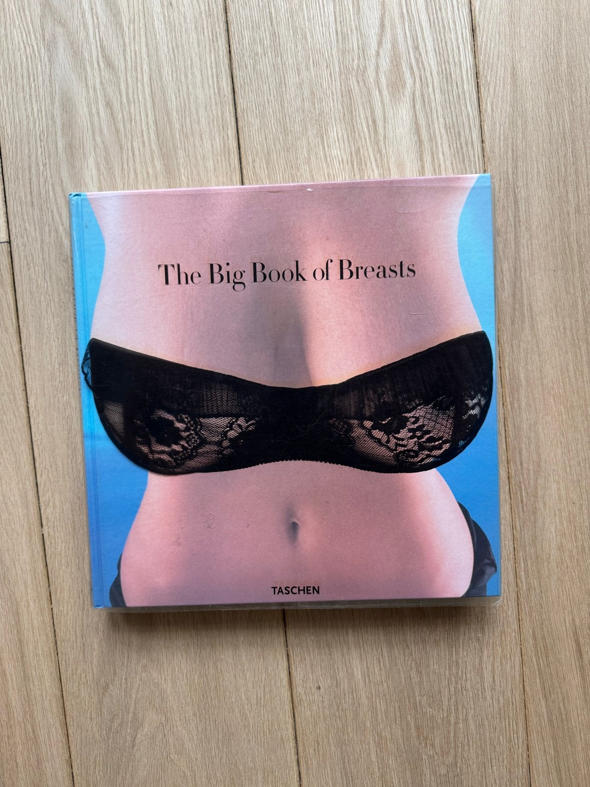 The Big Book of Breasts - Dian Hanson - Taschen, Ophalen of Verzenden, Zo goed als nieuw, Europa overig