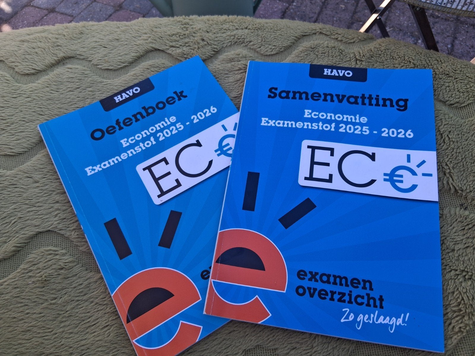 HAVO Economie Examenoverzicht  samenvatting & oefenboek, Ophalen of Verzenden