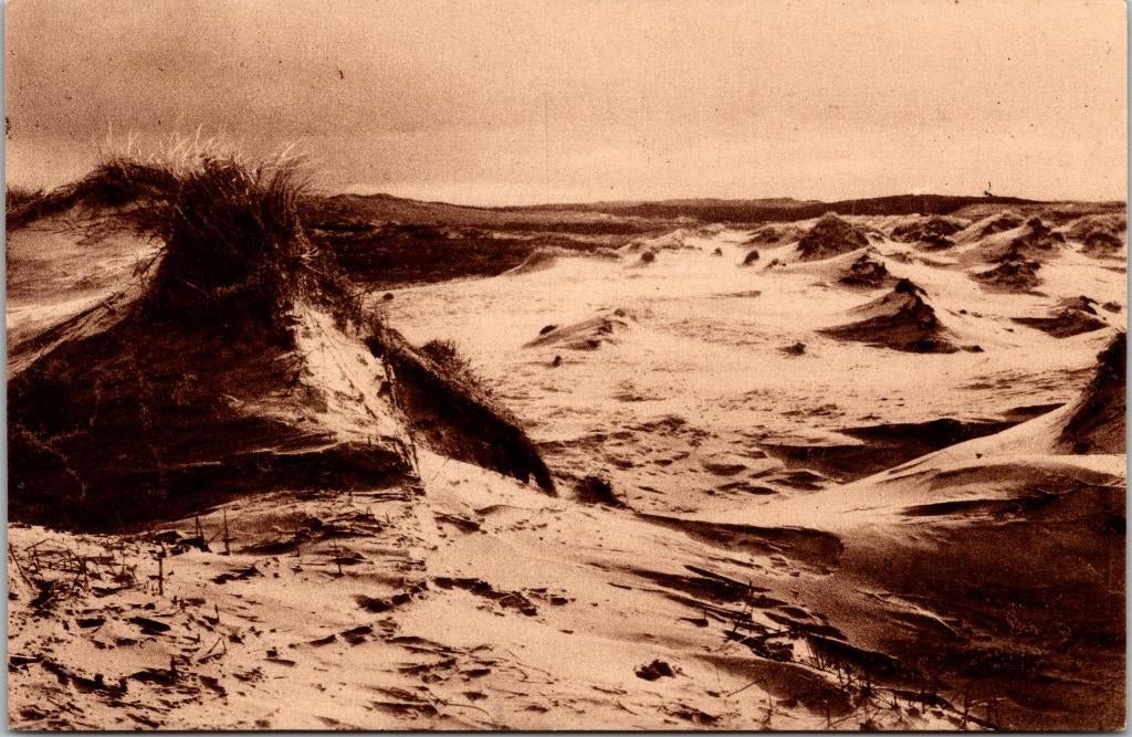 De Wildernis in de duinen tusschen Bergen en Schoorl, Verzenden, 1920 tot 1940, Ongelopen, Noord-Holland