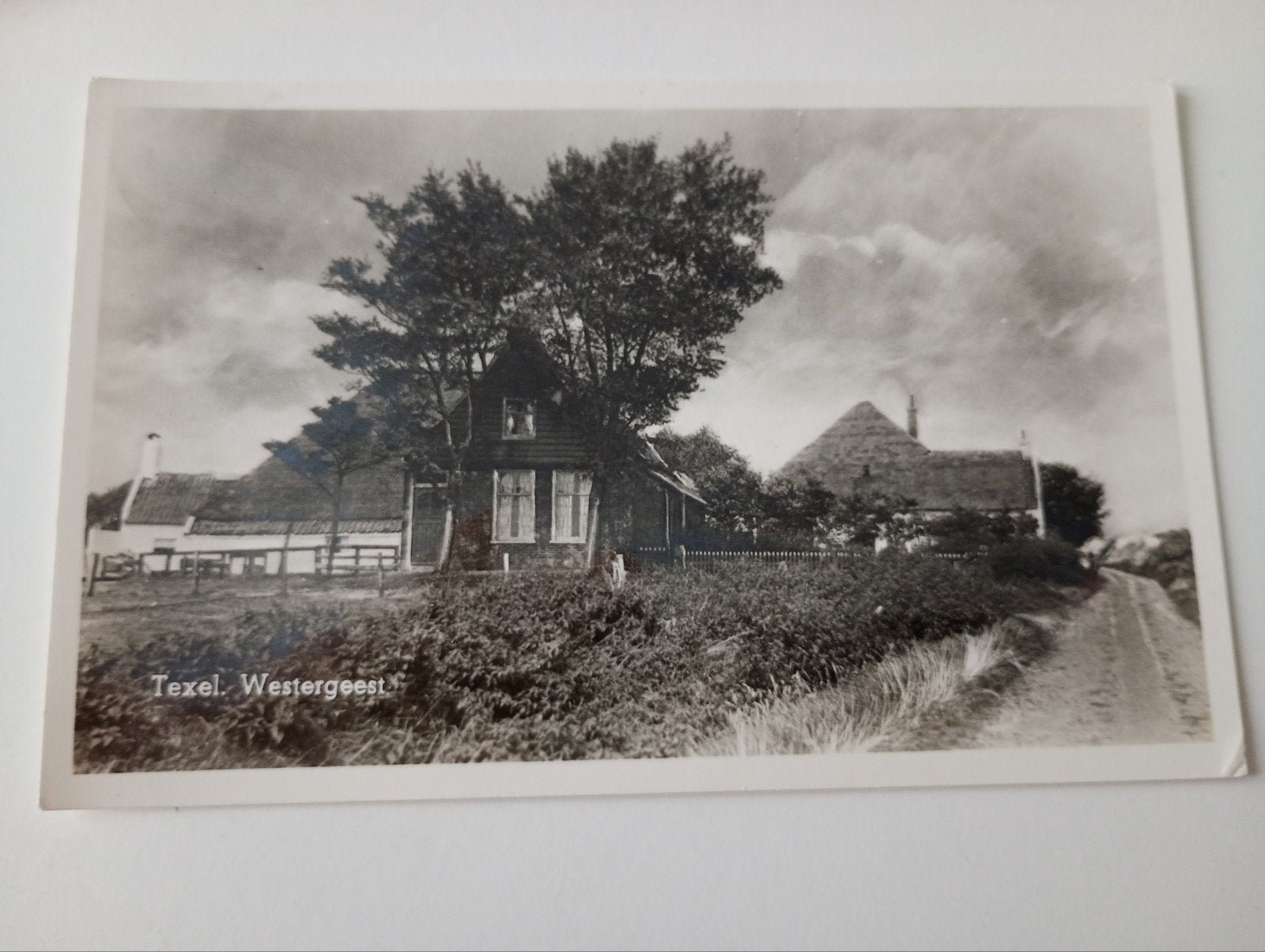 Texel Boerderij Westergeest 1953, Ophalen of Verzenden, 1940 tot 1960, Gelopen, Waddeneilanden