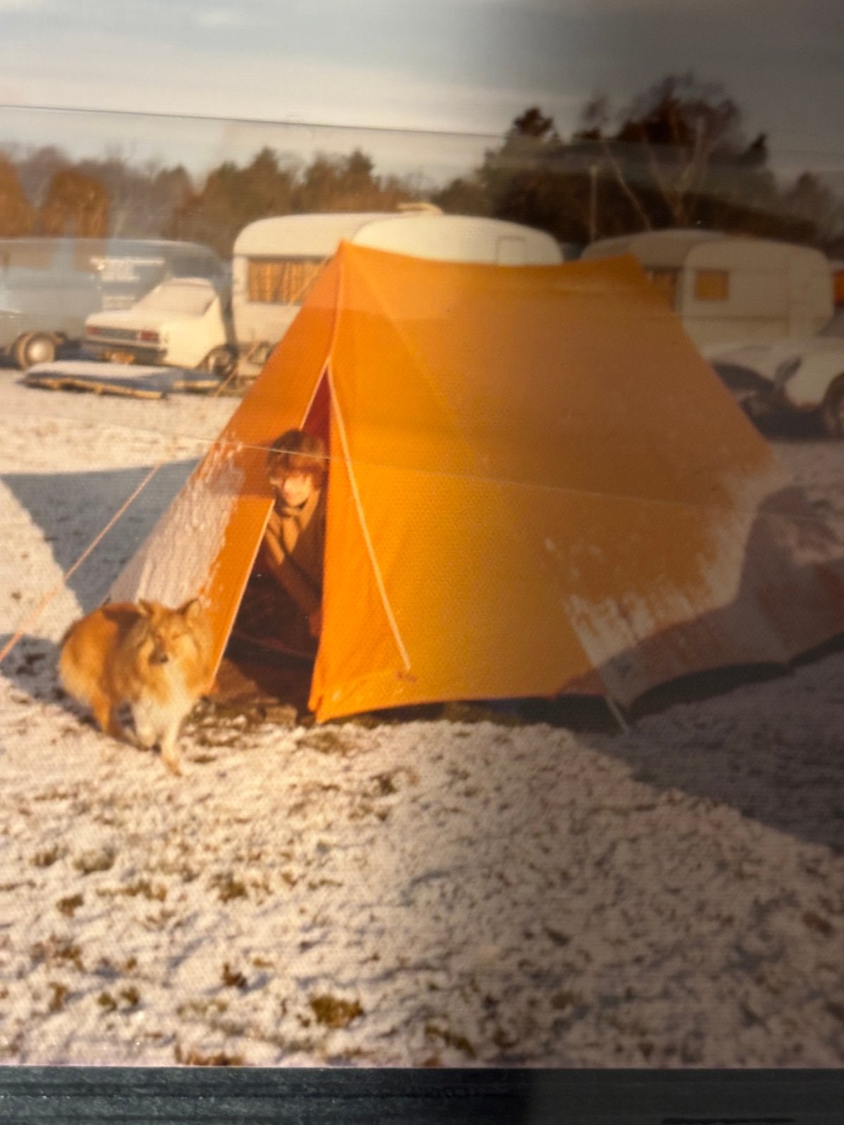 Vintage tent, Ophalen, Zo goed als nieuw, Tot en met 2