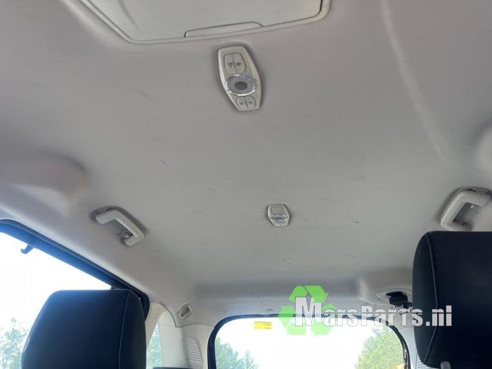 Hemelbekleding van een Ford Grand C-Max, Gebruikt, -, -, Ophalen of Verzenden