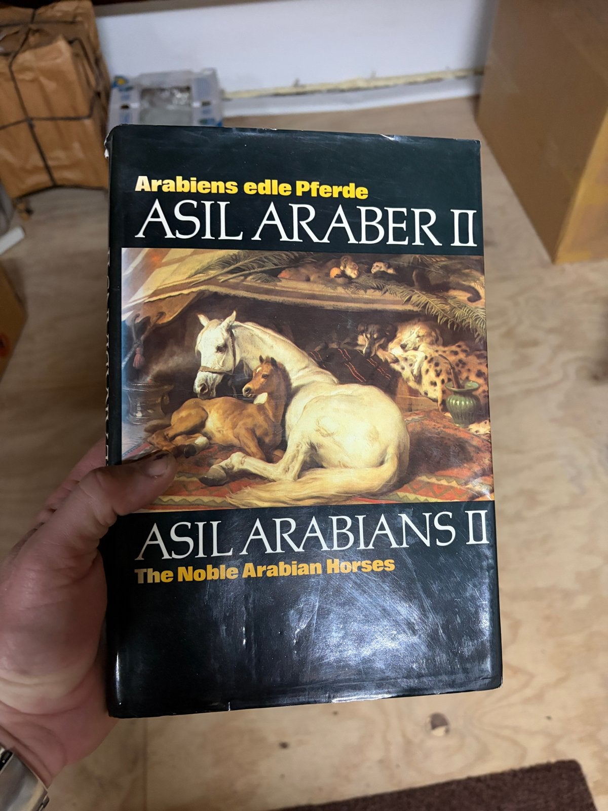 Asil Arabians II: The Noble Arabian Horses - Boek over paard, Boeken, Ophalen, Gelezen, Paarden of Pony's