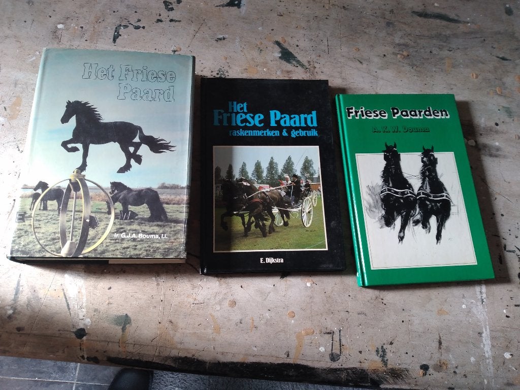 friese paard, Ophalen, Zo goed als nieuw, Paarden of Pony's