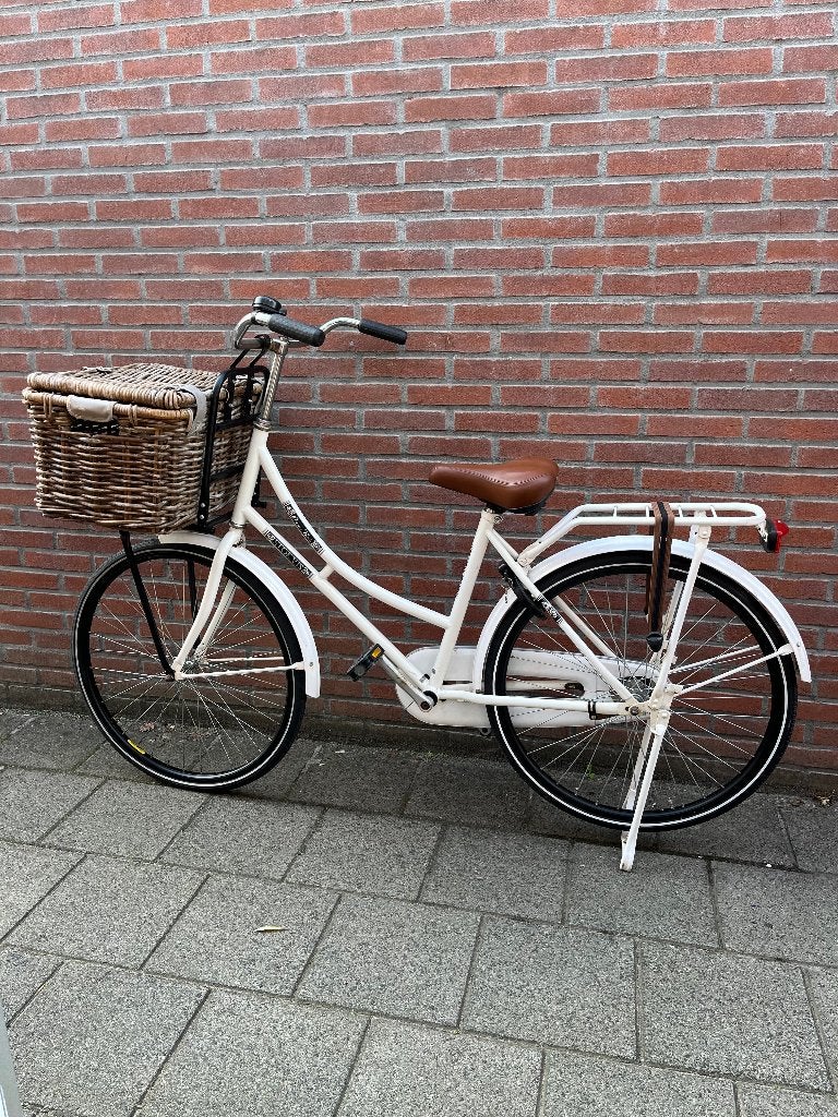 Oma fiets met mand, Ophalen, Terugtraprem, Gebruikt, Stokvis