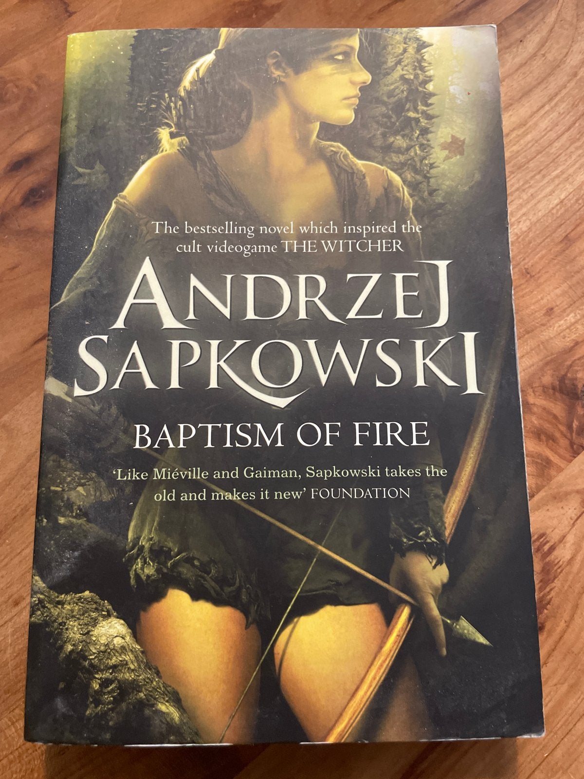Andrzej Sapkowski - Baptism of Fire (The Witcher), Boeken, Ophalen of Verzenden, Gelezen