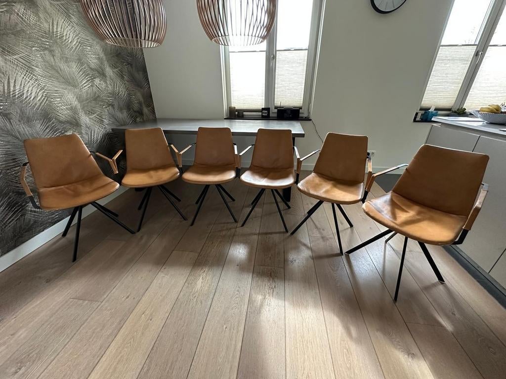 6 Rody eetkamerstoelen, leder Sahara, zwarte poten, Ophalen, Gebruikt, Leer, Vijf, Zes of meer stoelen