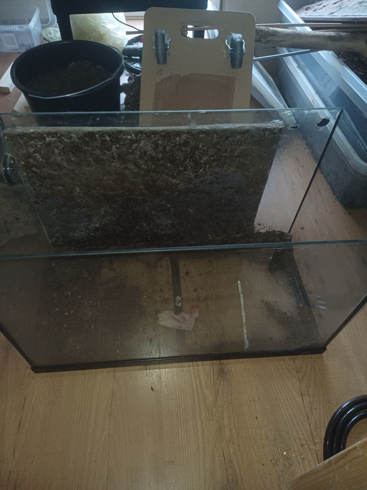 glazen bak aqurium/terrarium, Ophalen