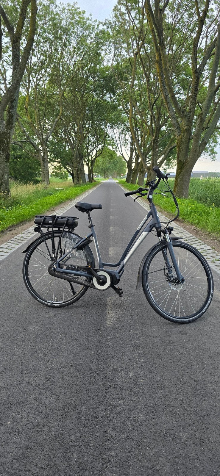 Amslod Wellington Elektrische Fiets, 51 tot 55 cm, Ophalen, Zo goed als nieuw, Overige merken