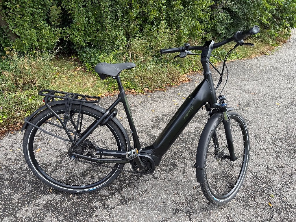 E- BIKE   Giant Daily Tour E+ 2 BD LDS   dames E-bike maat L, Ophalen, Giant, Zo goed als nieuw, 51 tot 55 cm