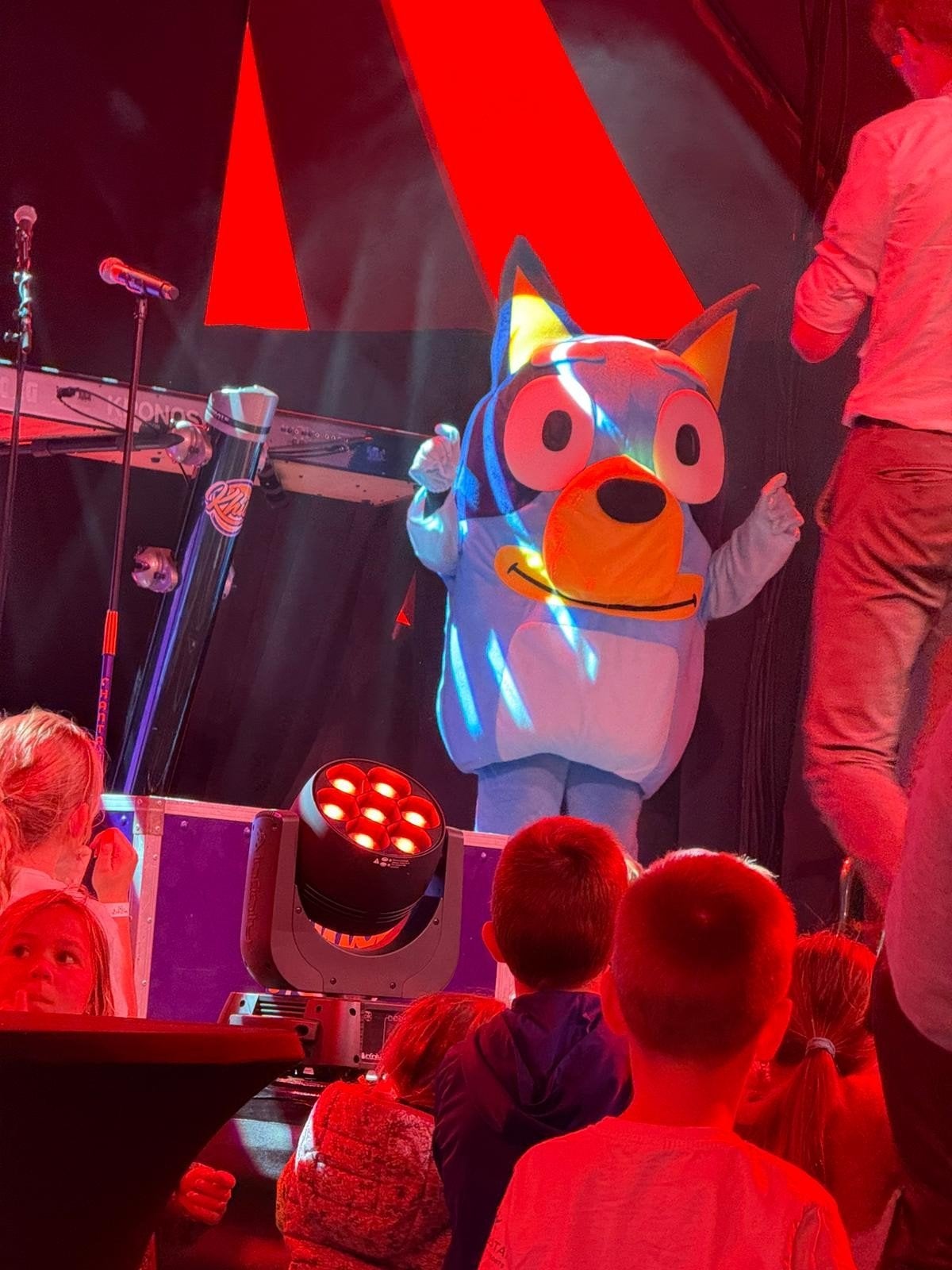Bluey Mascotte Pak - Huur of Koop voor Feestjes!, Ophalen of Verzenden, Gebruikt, Kostuum, Verjaardag