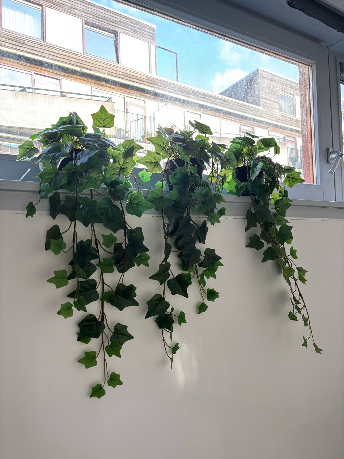 IKEA Fejka Kunstplant Klimop (3 stuks), Ophalen, Nieuw, Groen, Kunststof