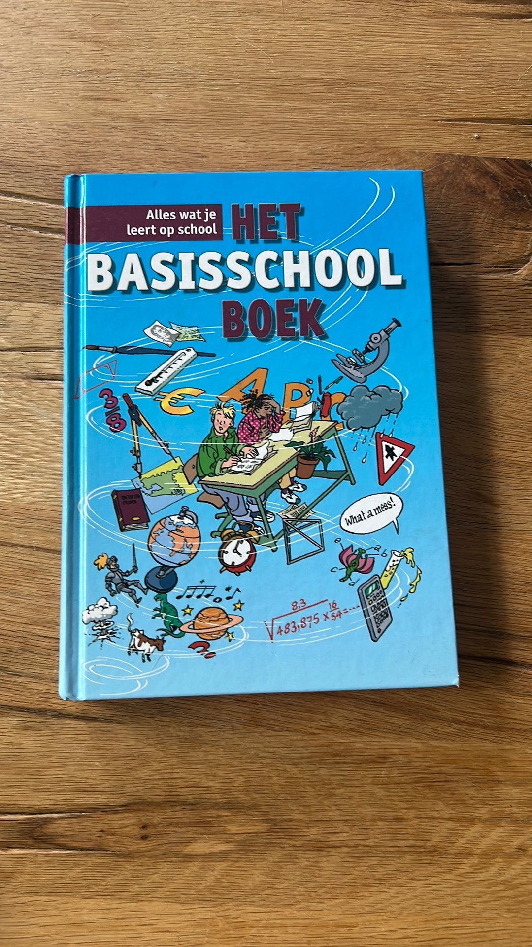 Het Basisschoolboek, Boeken, Gelezen, Non-fictie, Ophalen of Verzenden