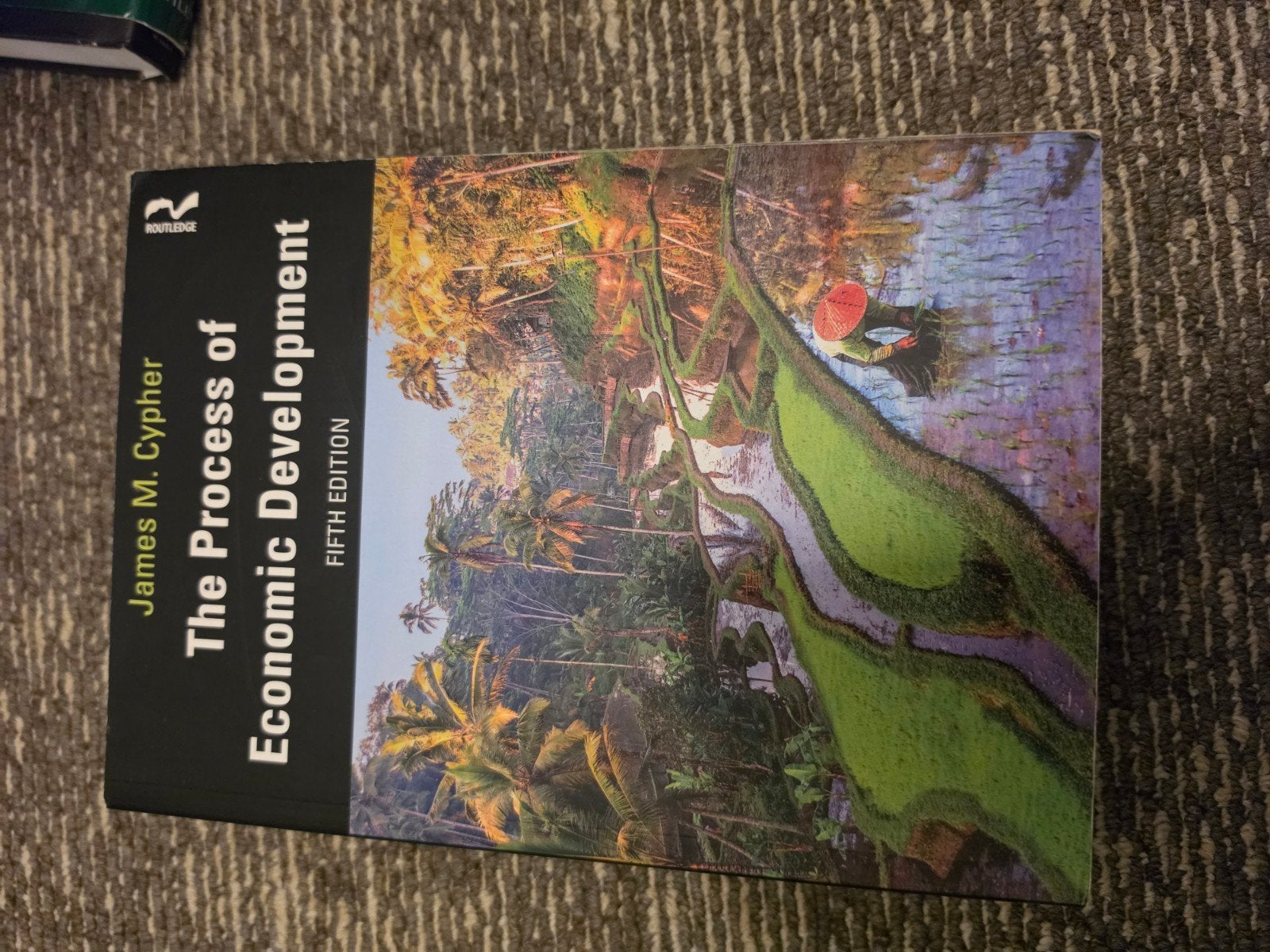 The Process of Economic Development - 5e editie, Ophalen of Verzenden, Gelezen, Economie en Marketing, James M. Cypher