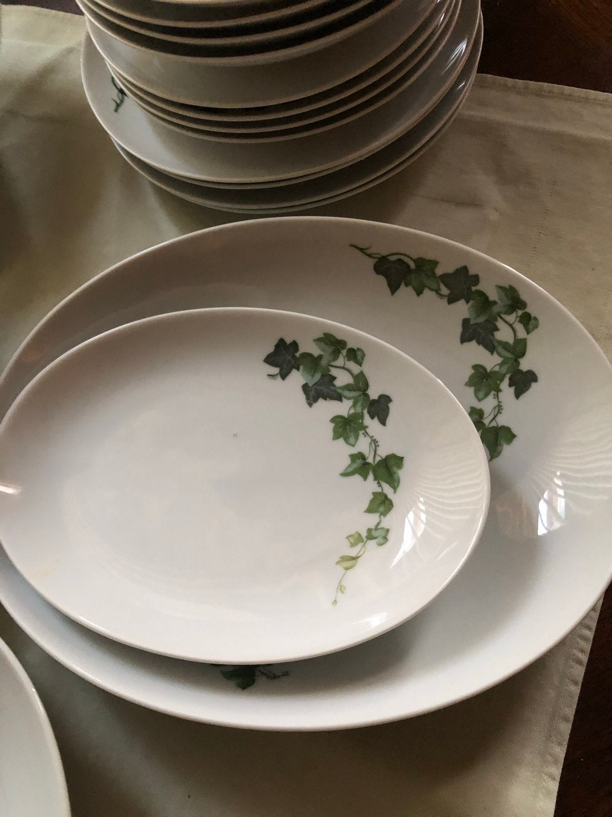 Eschenbach Servies met Klimop Decor - Bavaria Germany, Ophalen, Zo goed als nieuw, Arzberg, Klassiek