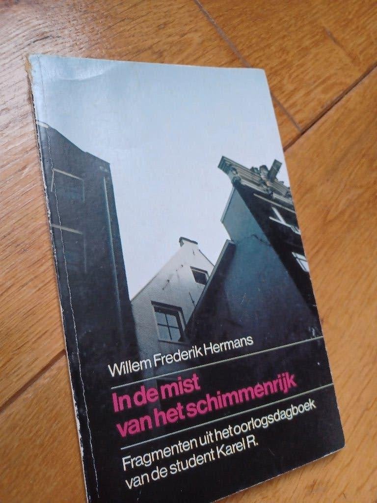 W.F. Hermans - In de mist van het schimmenrijk., Boeken, Boekenweekgeschenken, Ophalen of Verzenden, Gelezen, Willem Frederik Hermans