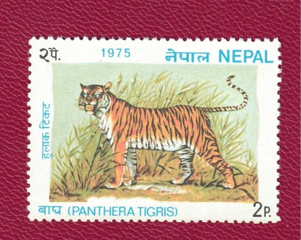 Fauna - Katachtigen - Nepal - Tijger - 2p - (jr.'75) p.fr., Ophalen of Verzenden, Postfris, Dier of Natuur