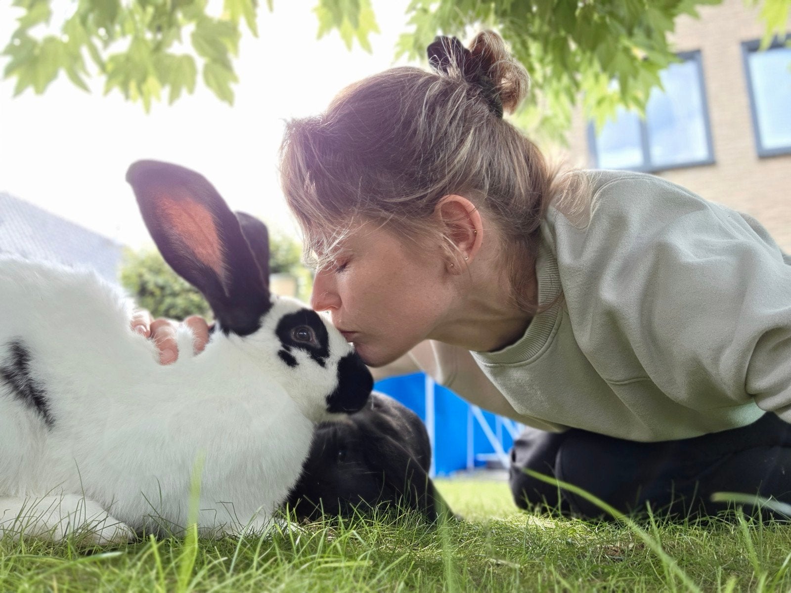 Liefdevolle knaagdier- en konijnenoppas aan huis in Emmen, Meerdere dieren, Dwerg