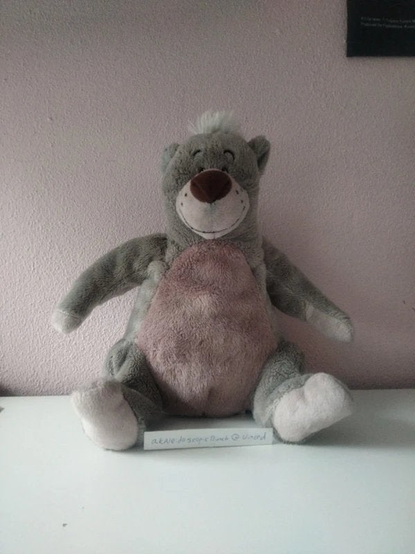 Disney Knuffel, Disney, Disney, Beer, Grijs
