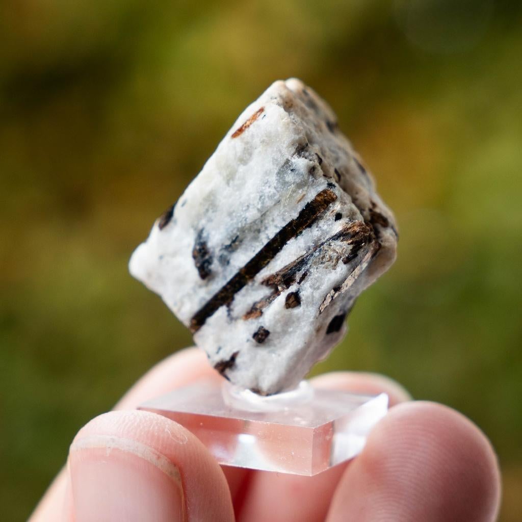 astrofylliet #1, Ophalen of Verzenden, Mineraal