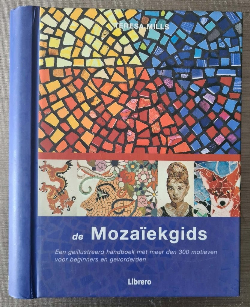 De Mozaïekgids - Teresa Mills - Boek over mozaïek, Teresa Mills, Ophalen of Verzenden, Zo goed als nieuw, Overige onderwerpen