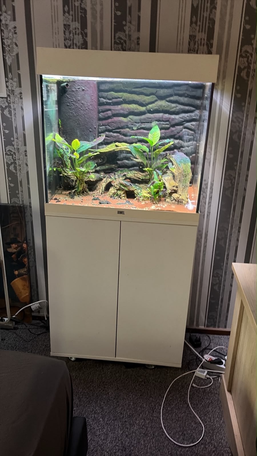 Juwel lido 120 met helialux, Ophalen, Zo goed als nieuw, Leeg aquarium
