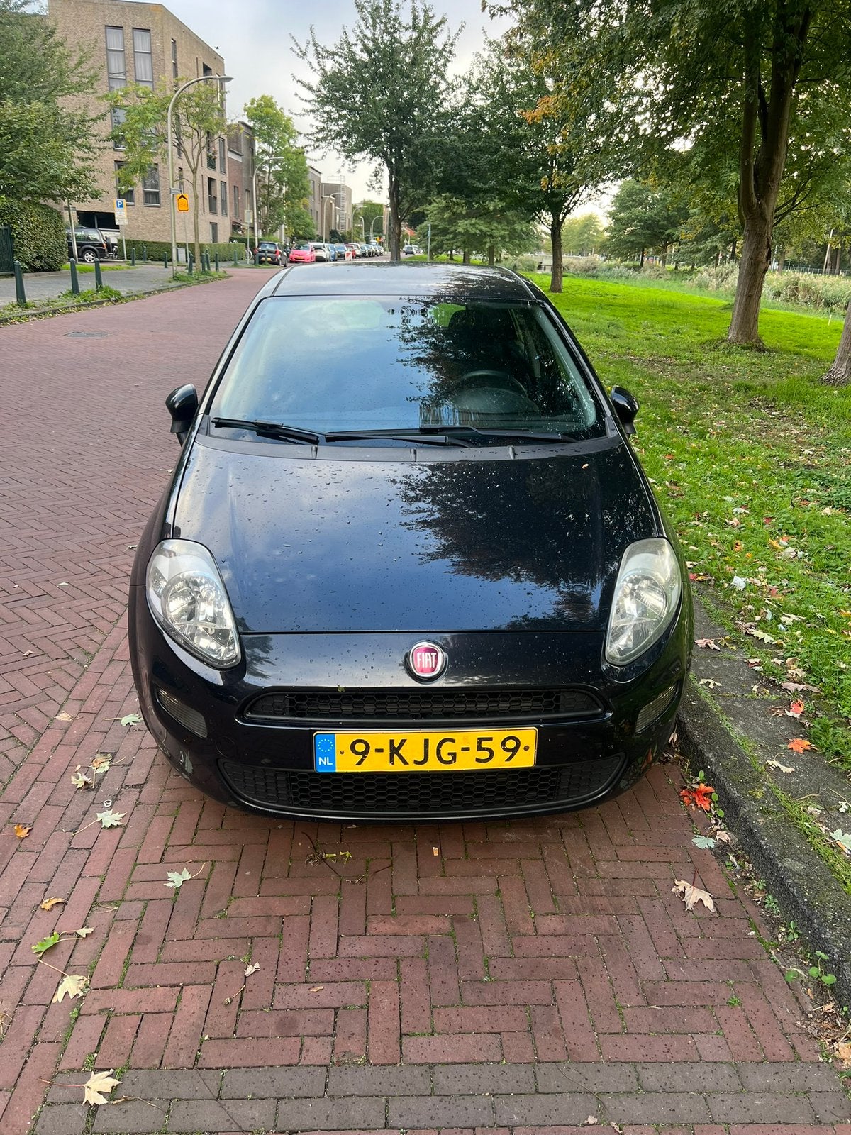 Fiat Punto 1.3 Multijet 62KW 5DR 2013 Zwart, Auto's, Voorwielaandrijving, 4 cilinders, 400 kg, Zwart