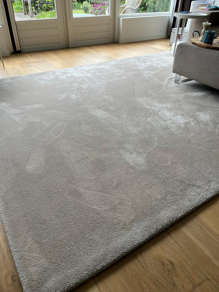 Van Besouw vloerkleed, Ophalen, Beige, 200 cm of meer, Zo goed als nieuw