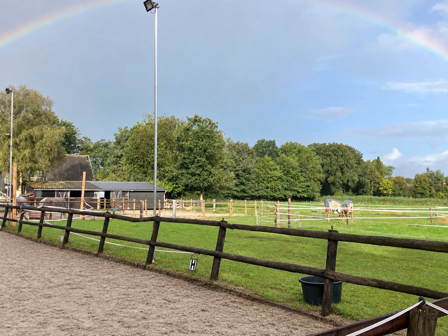 Pensionstalling op Stal de Zilver Berk, Dieren en Toebehoren, Stalling, 1 paard of pony