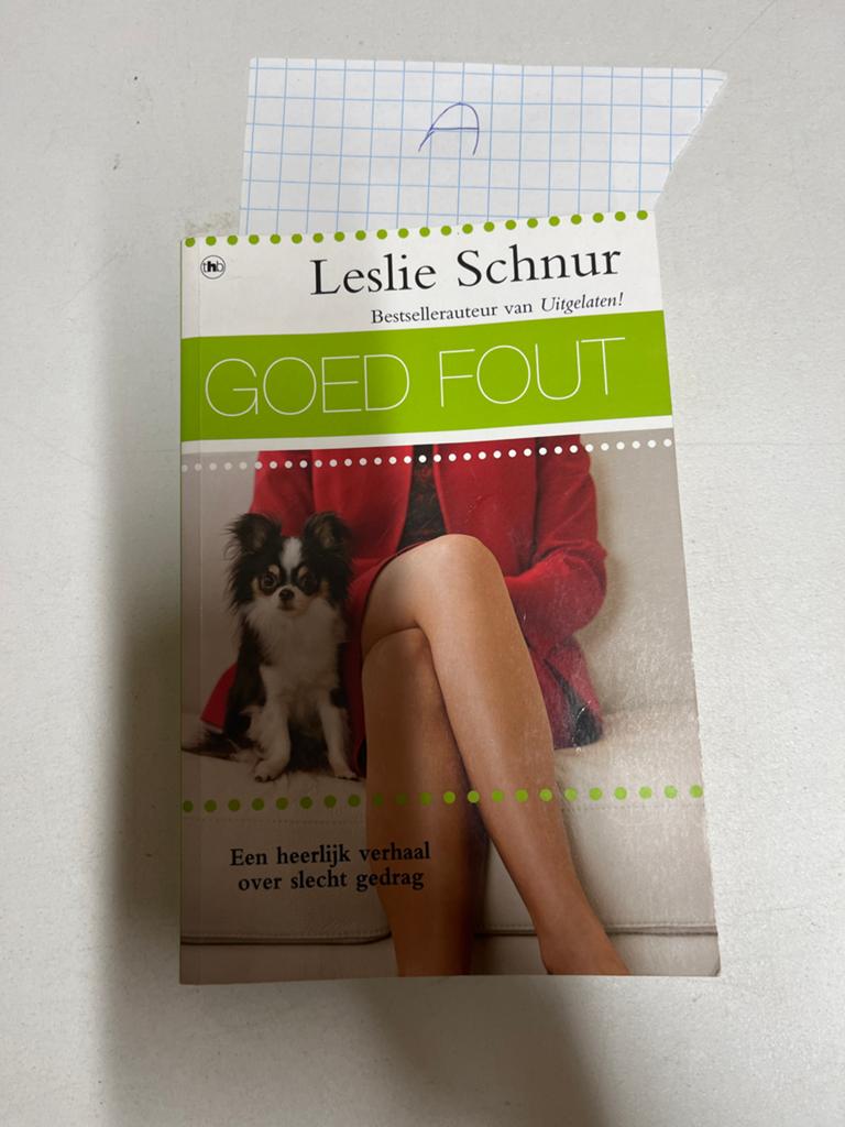 Goed Fout - Leslie Schnur (Bestsellerauteur), Ophalen of Verzenden, Zo goed als nieuw