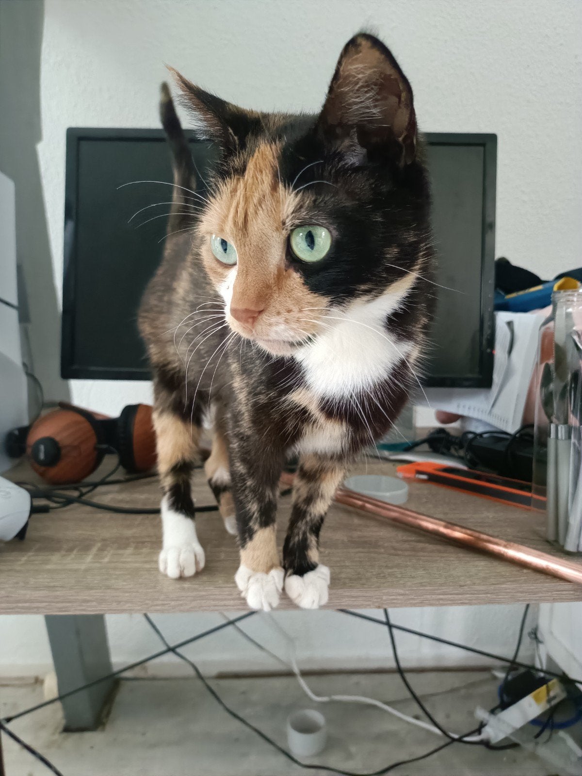 Zeer Lieve Poes Zoekt Nieuw Huisje!, Dieren en Toebehoren, Katten en Kittens | Overige Katten, Poes