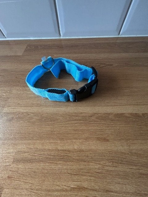 R19-NIEUW turqoise lichtgevende halsband maat small, Dieren en Toebehoren, Ophalen of Verzenden, Nieuw