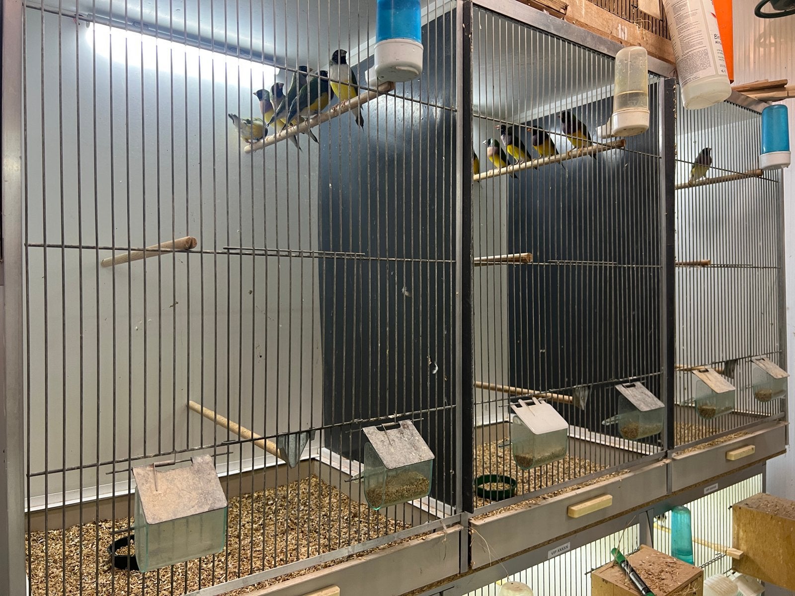 Te koop gehu vlucht kooi, Ophalen, Zo goed als nieuw, Aluminium, Vogelkooi