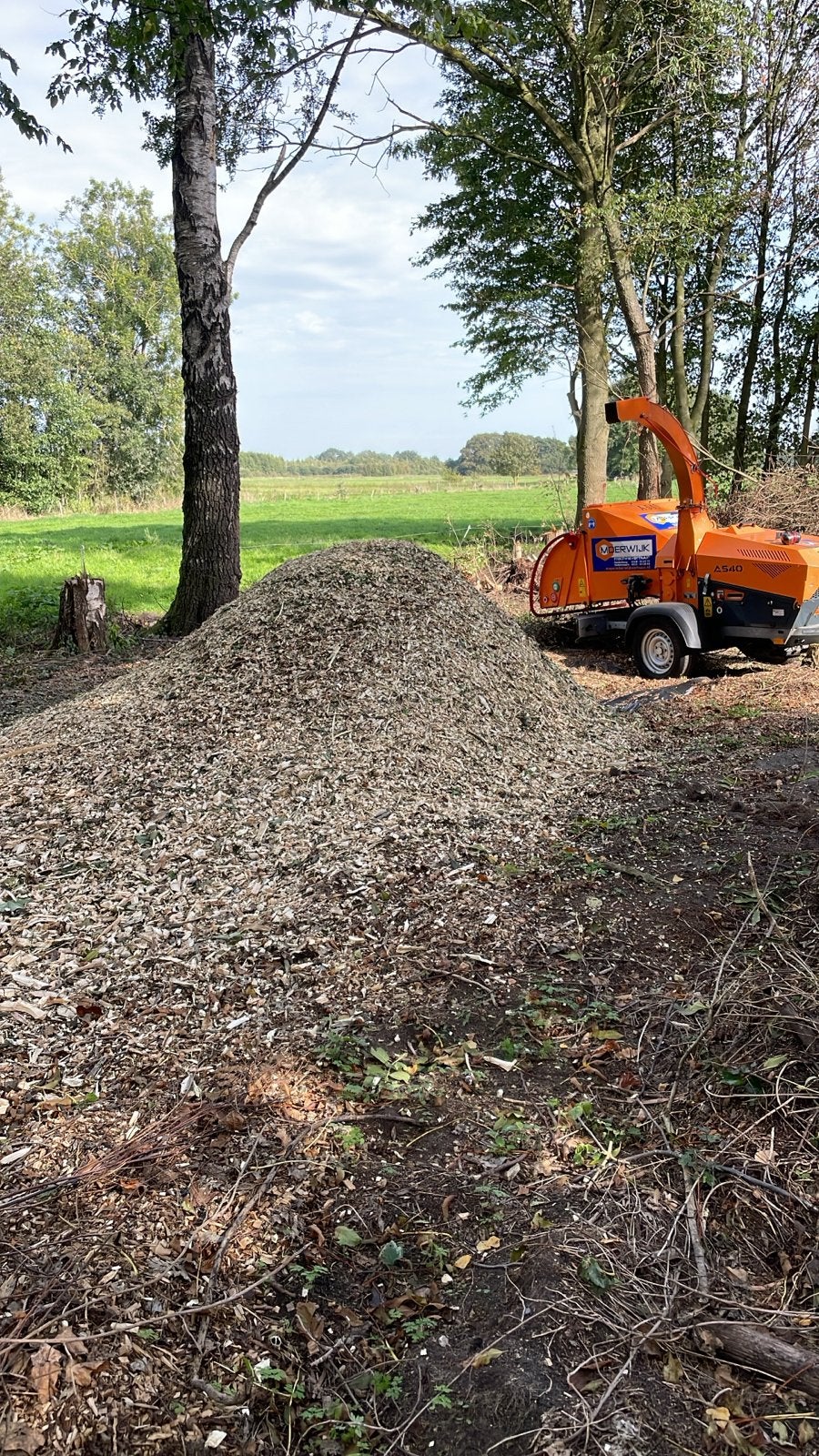 Verse houtsnippers - Ideaal voor tuin en paden, 6 m³ of meer, Ophalen, Overige houtsoorten, Takken