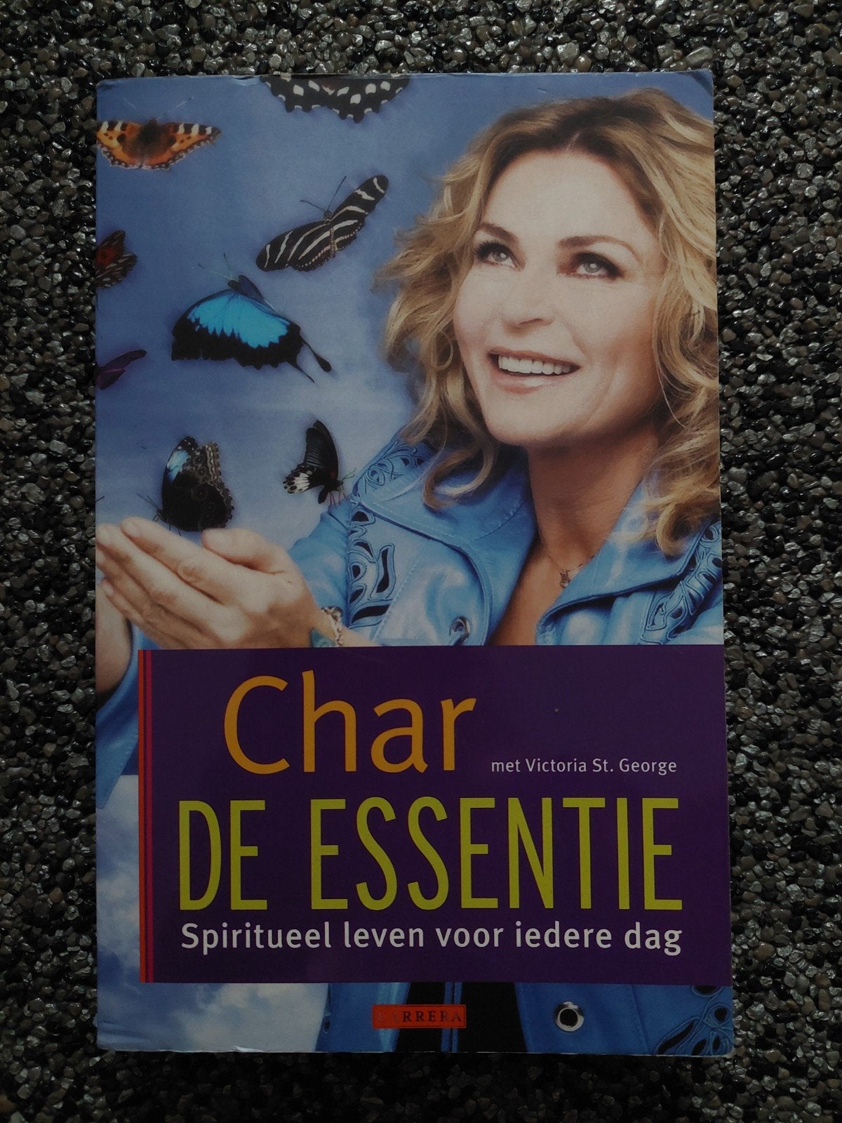 Char Margolis - De Essentie: Spiritueel leven, Achtergrond en Informatie, Spiritualiteit algemeen, Ophalen of Verzenden, Char Margolis